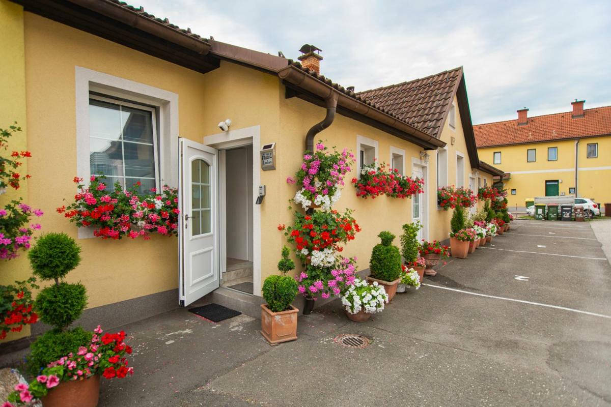 Apartmán Auszeit Leoben 1 Mit Terasse Und Gratis Parkplatz Exteriér fotografie
