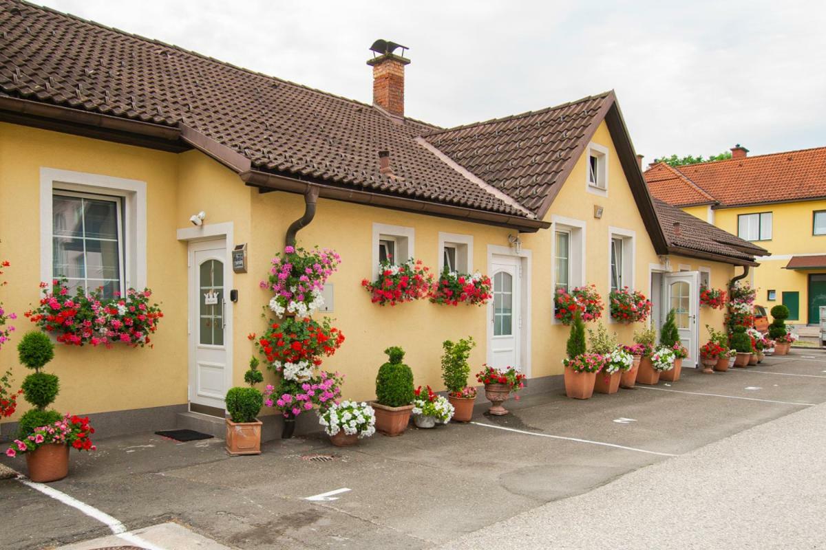 Apartmán Auszeit Leoben 1 Mit Terasse Und Gratis Parkplatz Exteriér fotografie